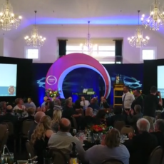 Consumer Choice Awards